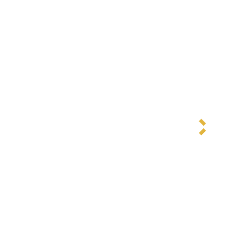 Protocolo 10X